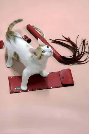 Red Faux Leather Whip and Adjustable Cuffs Set with Cat Model