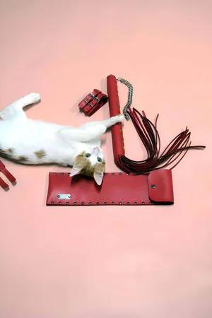 Red Faux Leather Whip and Adjustable Cuffs Set with Cat Model