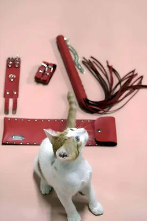 Red Faux Leather Whip and Adjustable Cuffs Set with Cat Model