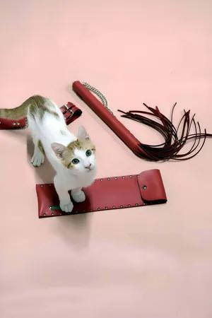 Red Faux Leather Whip and Adjustable Cuffs Set with Cat Model