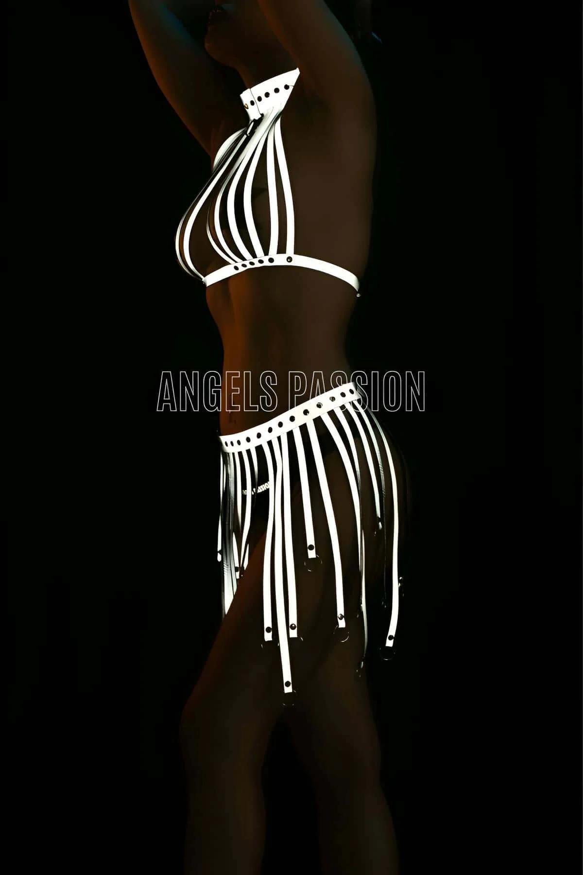 Close-up of reflective elastic straps on cage halter harness top with silver O-ring collar hardware