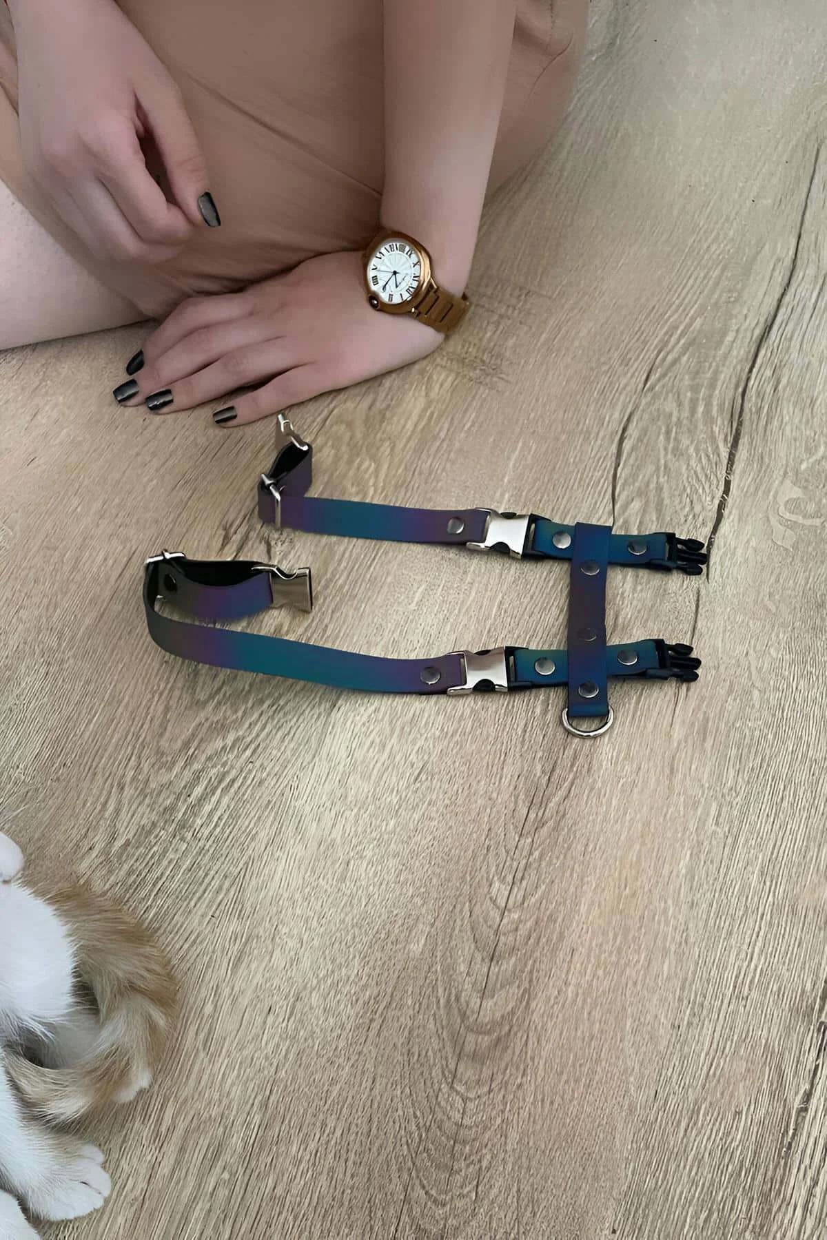 Holografik gökkuşağı kedi tasması karanlıkta canlı renk yansıması el feneri ışığında