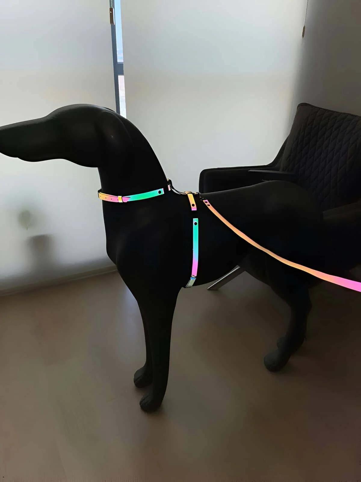 Karanlıkta Renkli Parlayan Şık Köpek Tasma, Özel Tasarım Reflektörlü Köpek Tasması - NPD002