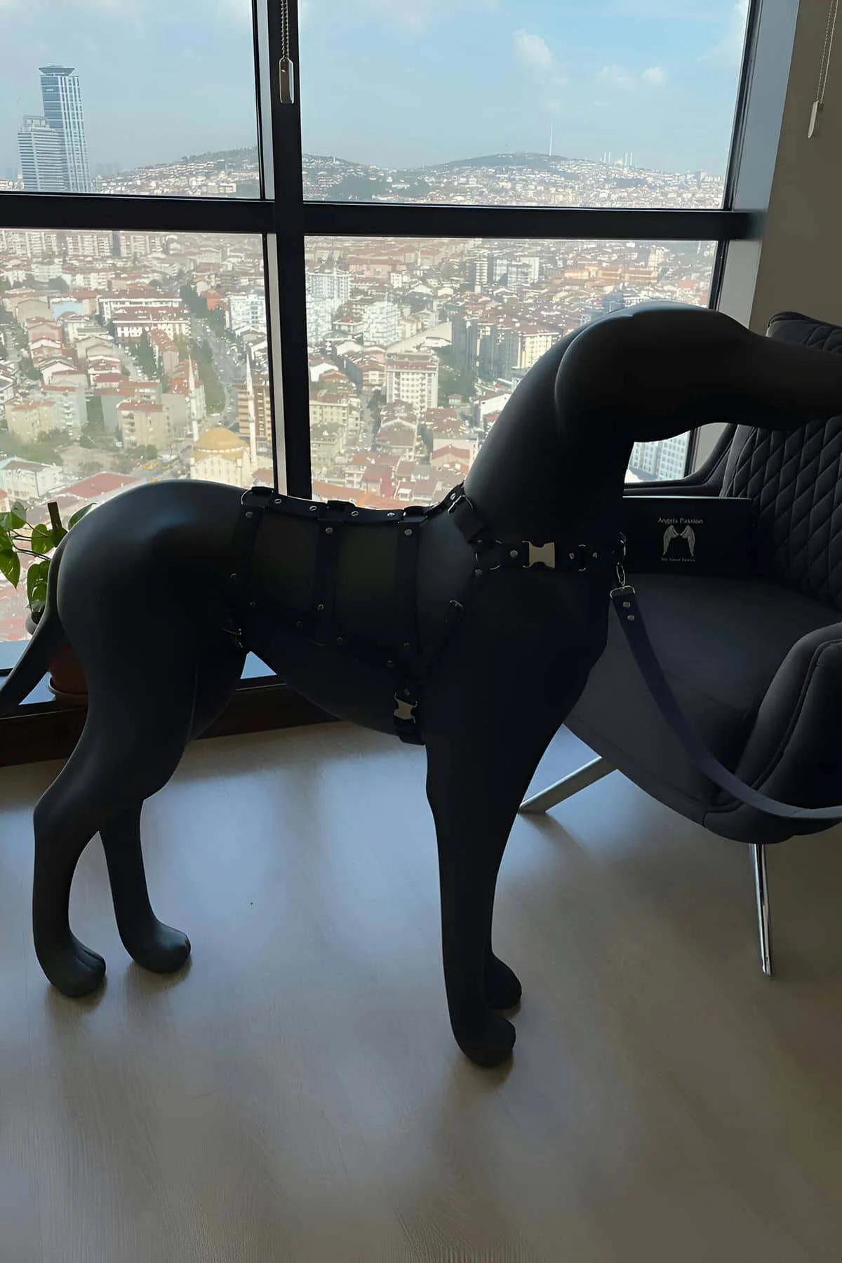 Ayarlanabilir, Vücudu Saran, Güzel Gözüken Özel Tasarım Reflektörlü Köpek Harness - NPD004
