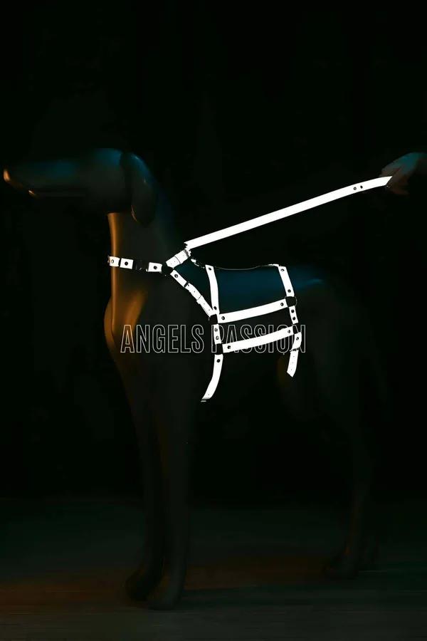 Karanlık arka planda parlayan kafes göğüs paneli ve gümüş perçin donanımlı beyaz reflektör vücut harness