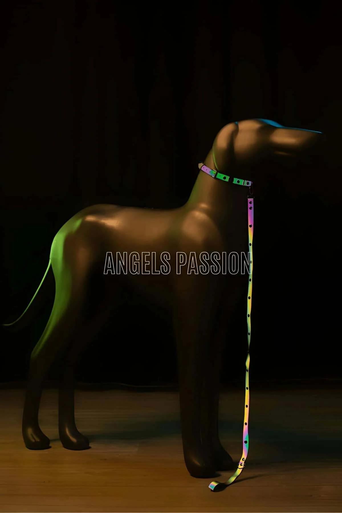 Karanlıkta Renkli Yansıma Yapan Reflektörlü Köpek Tasması - NPD012