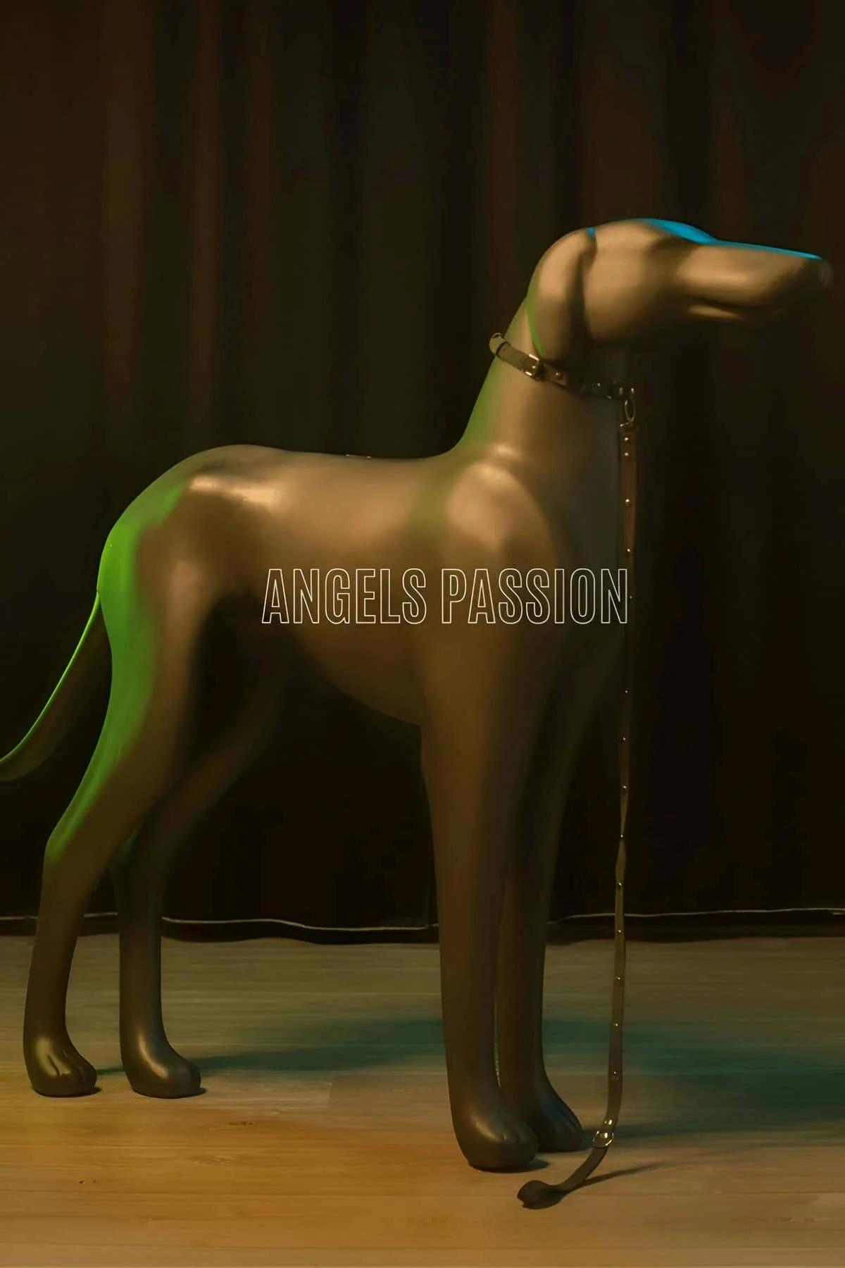 Karanlıkta Renkli Yansıma Yapan Reflektörlü Köpek Tasması - NPD012