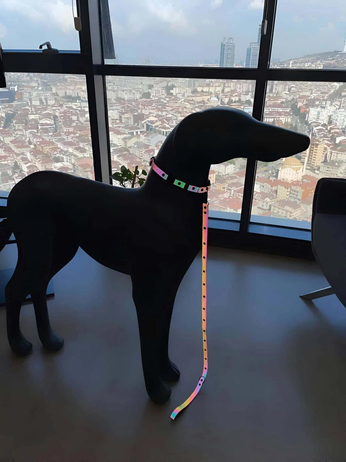Karanlıkta Renkli Yansıma Yapan Reflektörlü Köpek Tasması - NPD012