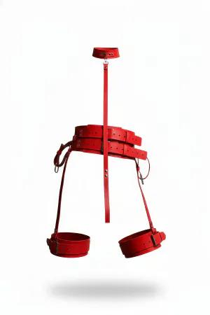 Red Vegan Leather Thigh Harness Set with Collar and Connecting Strap