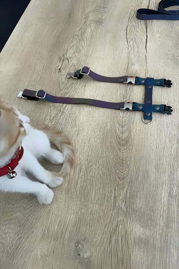Gökkuşağı renkli reflektörlü çok bantlı kedi harness holografik mor mavi yeşil turuncu bantlar
