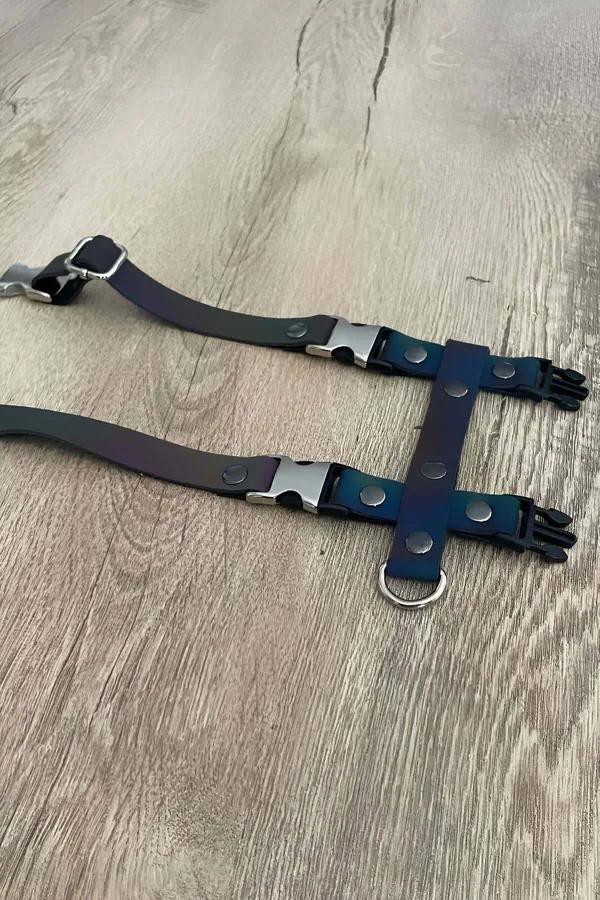 Gökkuşağı renkli reflektörlü çok bantlı kedi harness holografik mor mavi yeşil turuncu bantlar