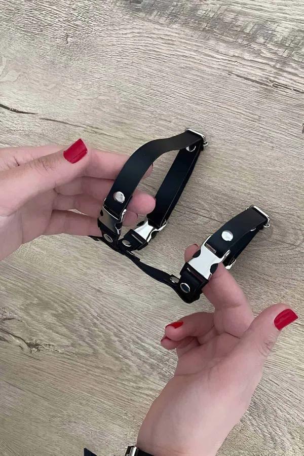 Siyah suni deri kedi göğüs tasması gümüş metal toka ve perçinli H tipi kayış seti tekir kedide