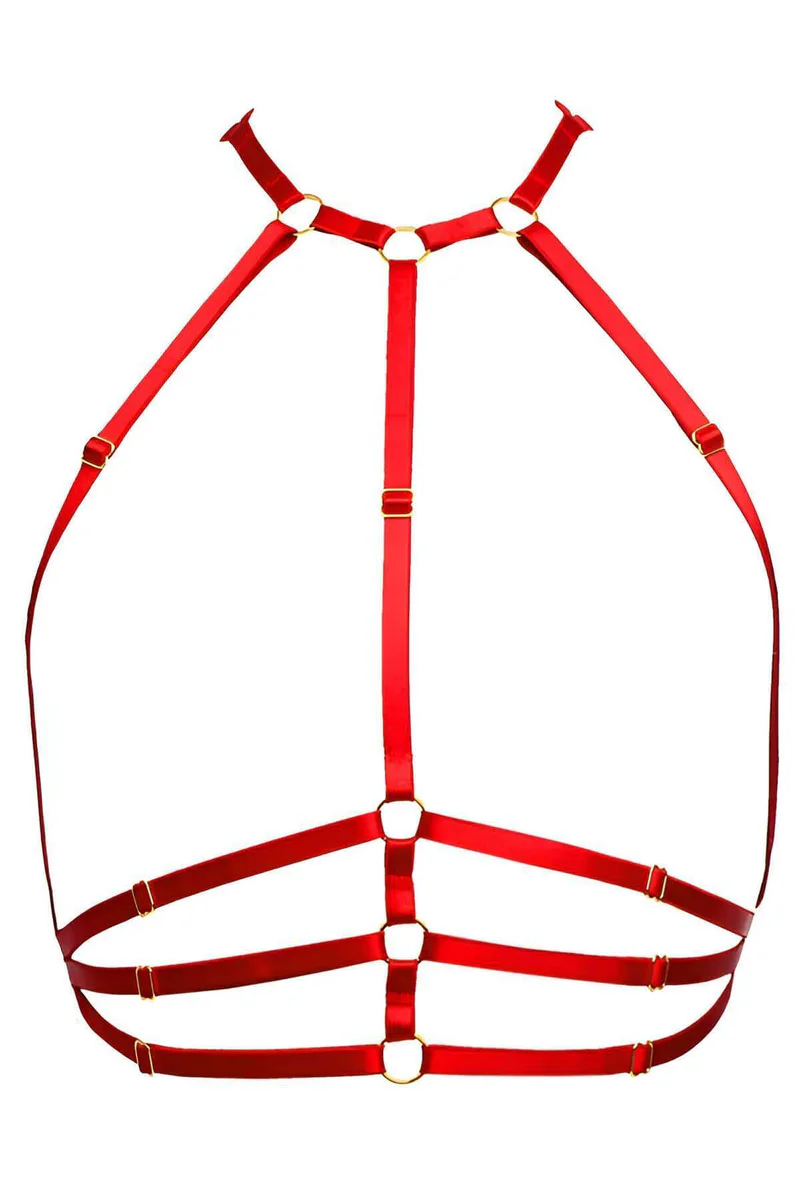 Red strappy harness lingerie showing gold O-ring detail and adjustable straps