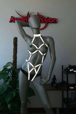 Reflective full body harness with silver star accents and adjustable straps