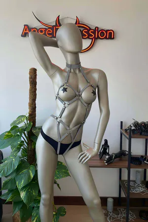 Reflective full body harness with silver star accents and adjustable straps