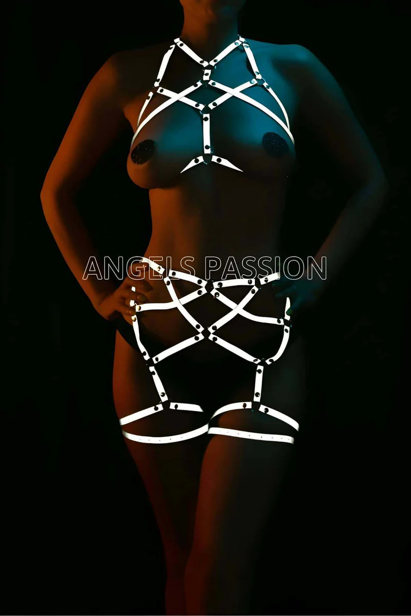 Reflective harness back view showing strap configuration