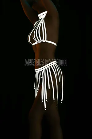 Reflective Halter Harness and Fringe Skirt Set Silver