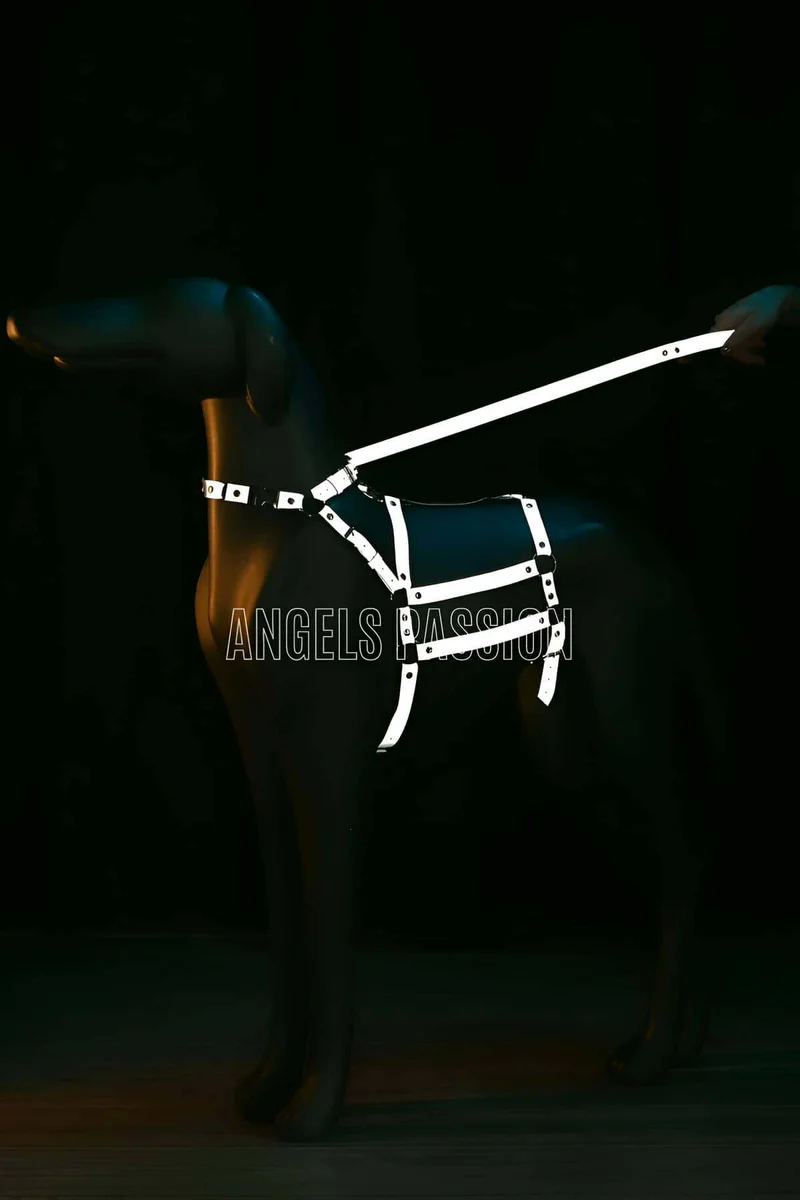 Reflective Strap Body Harness Set Black with Leash Fashion