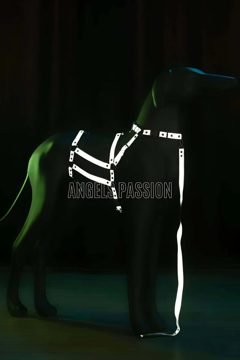 Night Out Body Harness Close Up Reflective Straps Hardware