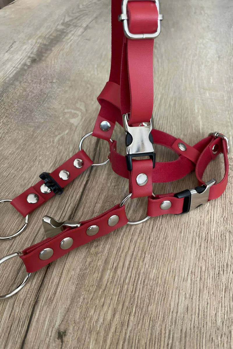 Red faux leather cat harness side profile with adjustable straps and metal O-rings on wooden surface