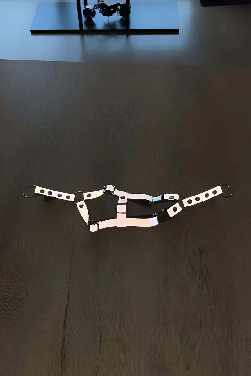 Reflective Cat Harness Back View Full Body Coverage White with Dual-Safety Buckles and Adjustable Straps