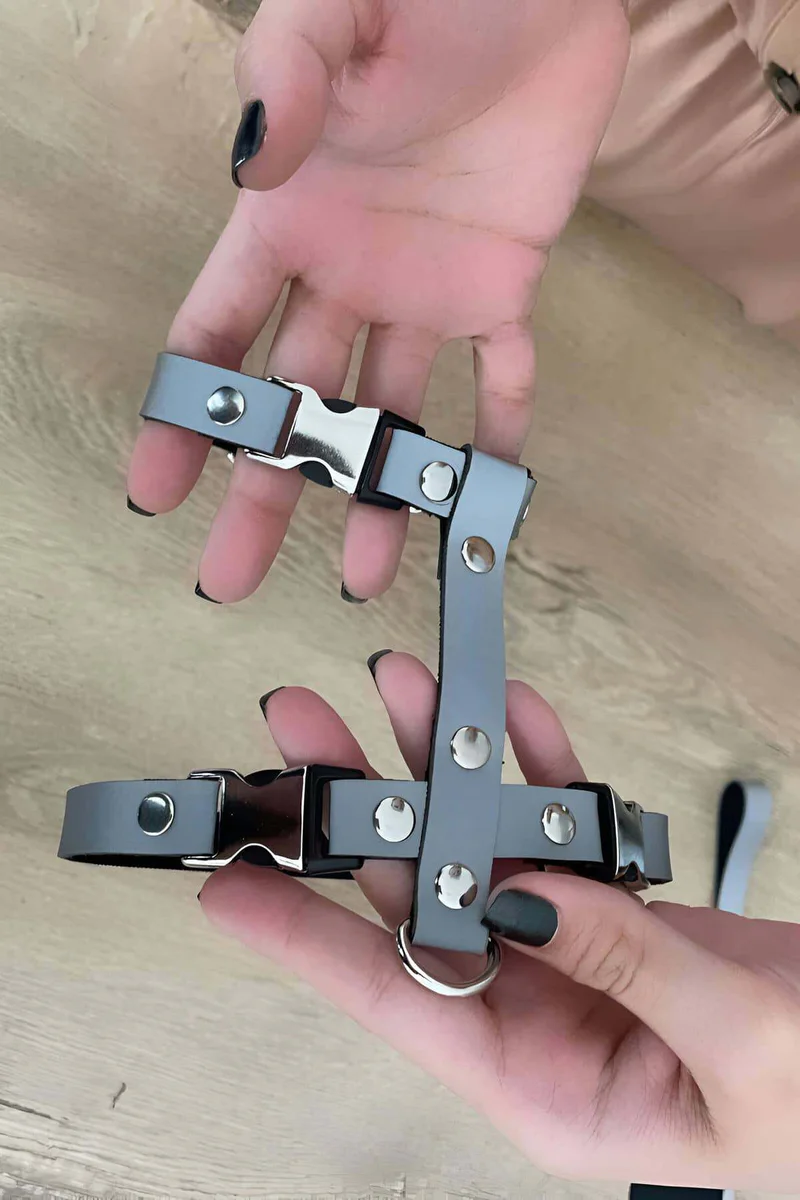 Close-Up of Adjustable Buckle Closure on Silver Harness with Reflective X Pattern Detail