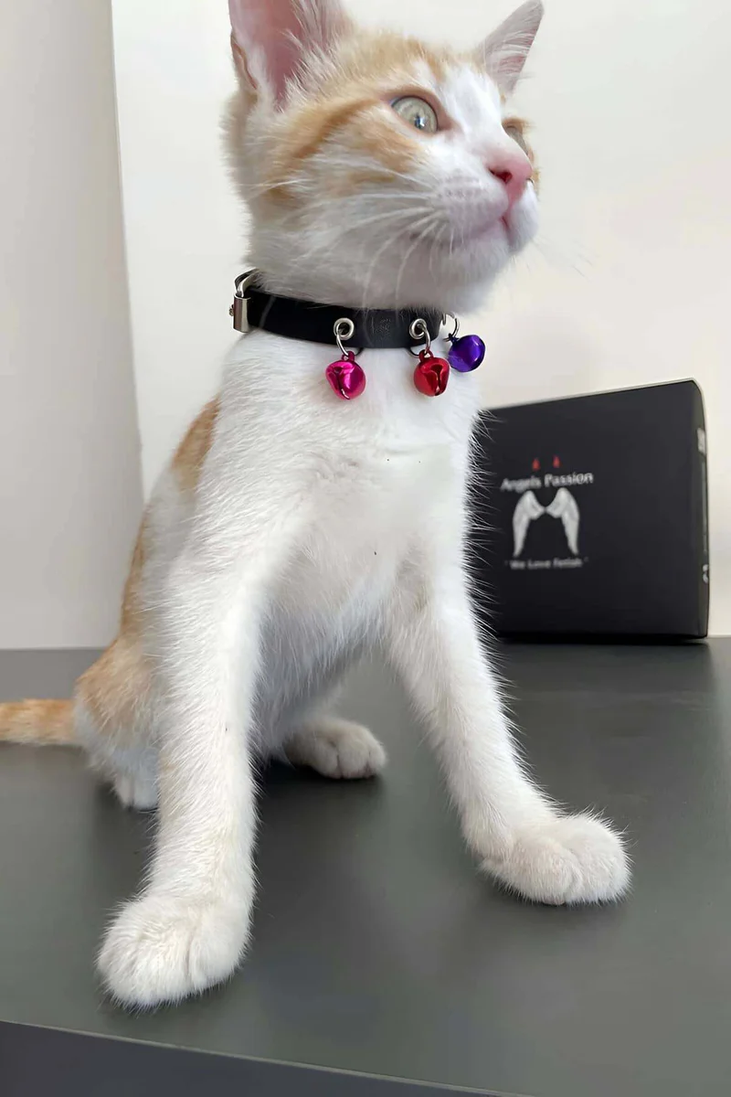 Black Faux Leather Choker Collar with Red Pink Purple Bell Charms