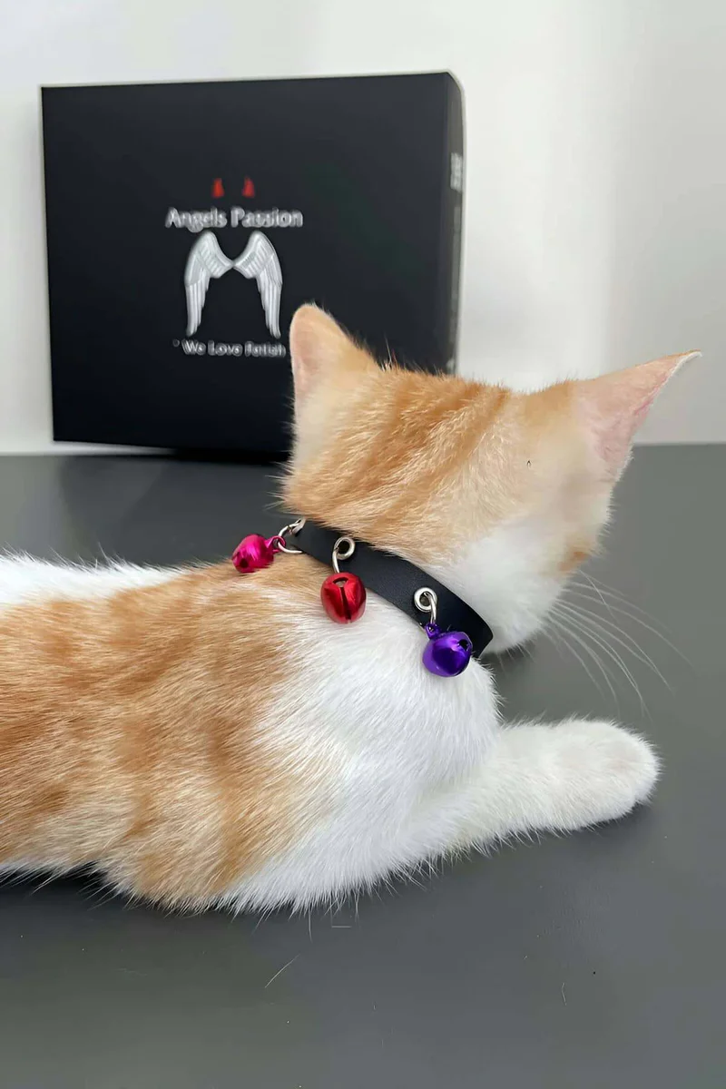 Choker Necklace Side Profile Black Vegan Leather Detail with Multi-Color Bell Charms on Cat