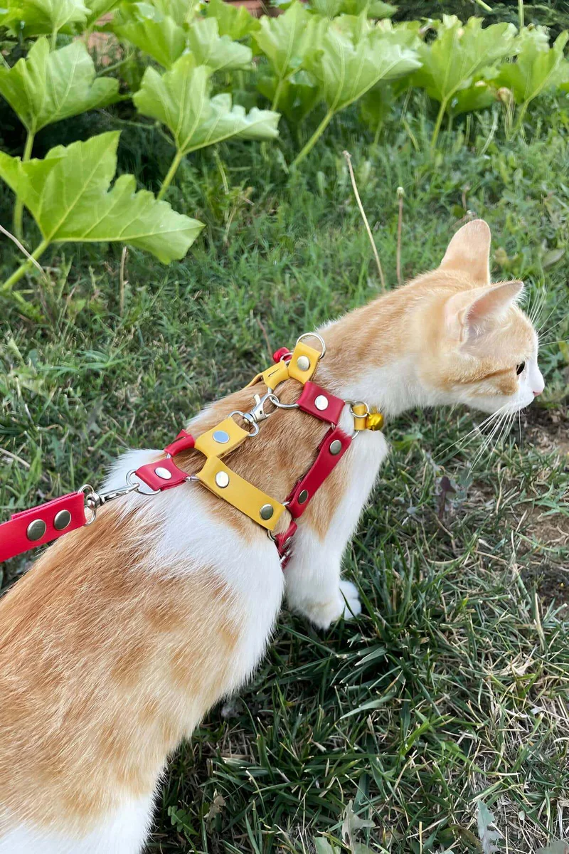 Red and Yellow Cat Harness Side Profile Worn by Orange Tabby Cat in Garden Setting