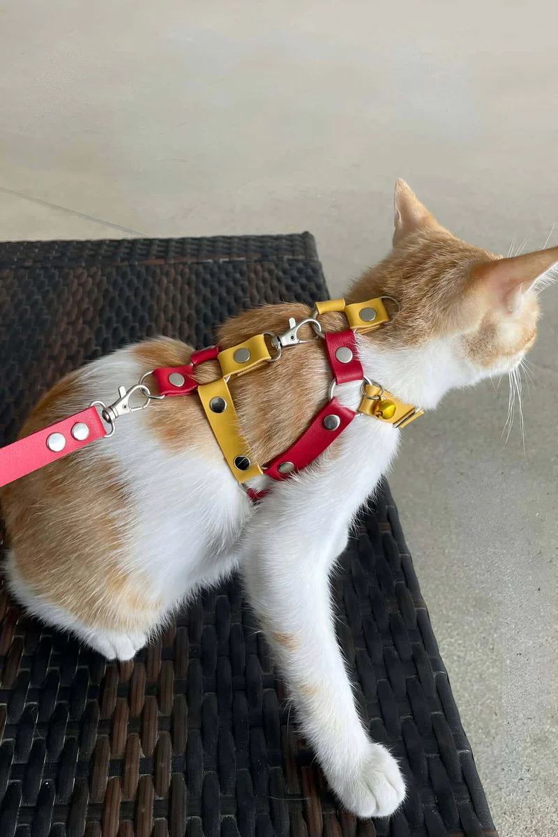 Adjustable red and yellow chest harness with leash attachment for cats, side view showing secure fit and metal hardware