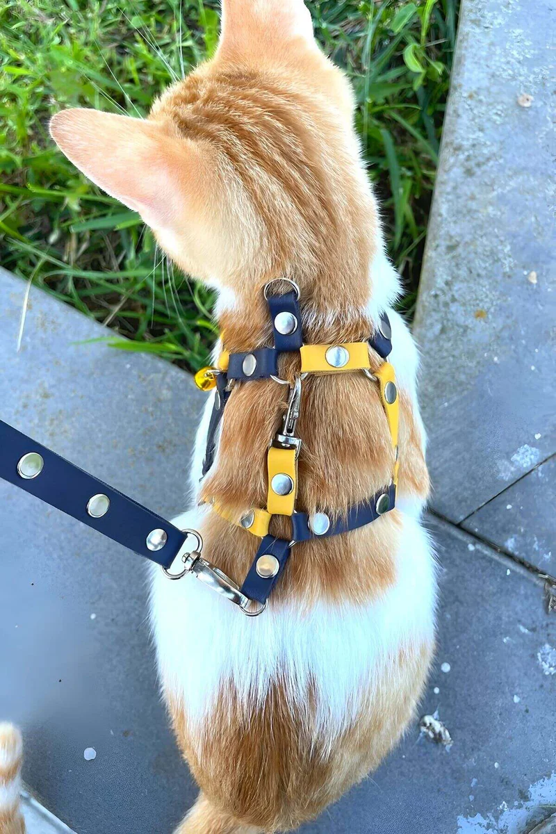 Yellow and Navy Faux Leather Cat Harness with Metal D-Ring and Adjustable Straps
