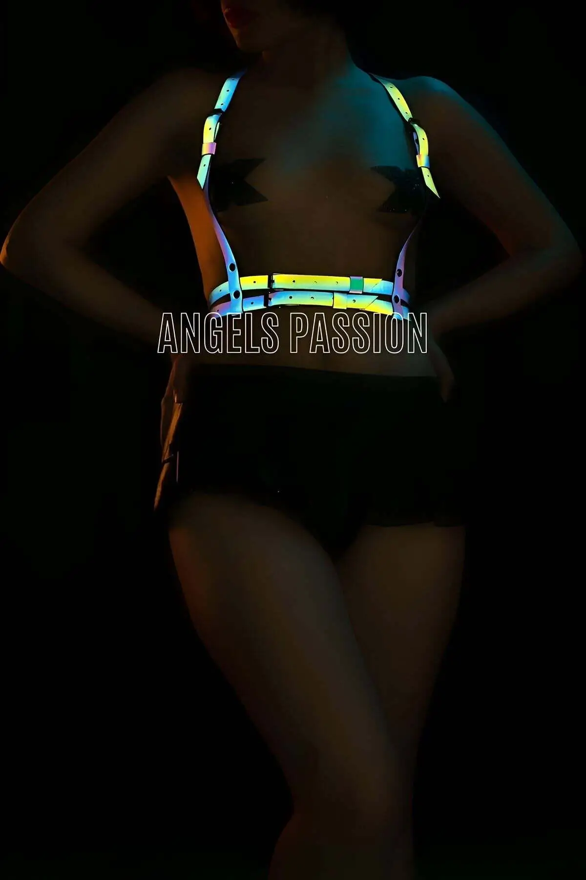 Reflective Harness Vest, T-Shirt Accessory