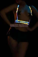 Reflective Harness Vest, T-Shirt Accessory - Image 2