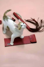 Kırmızı Deri Zımba Detaylı Kırbaç ve Kelepçe Seti SH1304