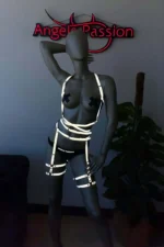 Stylish Harness that Glows in the Light at Night - SH274 - Image 5