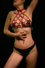 Red Leather Harness with Diamond Pattern Detail on the Chest - Image 2