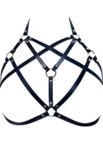 Fantasy Lingerie - SH437 - Image 2