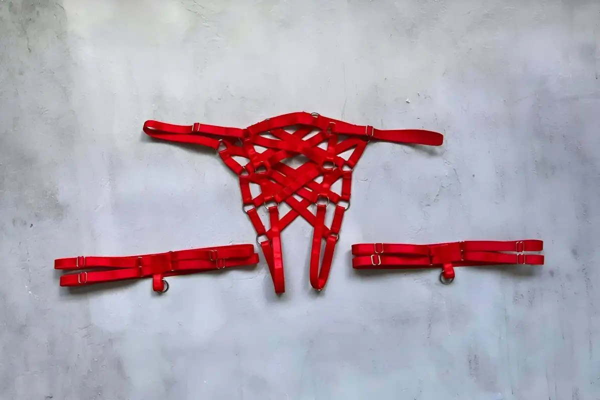 126140.webp Open Mesh Fantasy Panties and Leg Band Set with Elastic Harness - SH1202 - Image 1