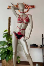 Heart Detail Red Leather Harness Set - SH467 - Image 4