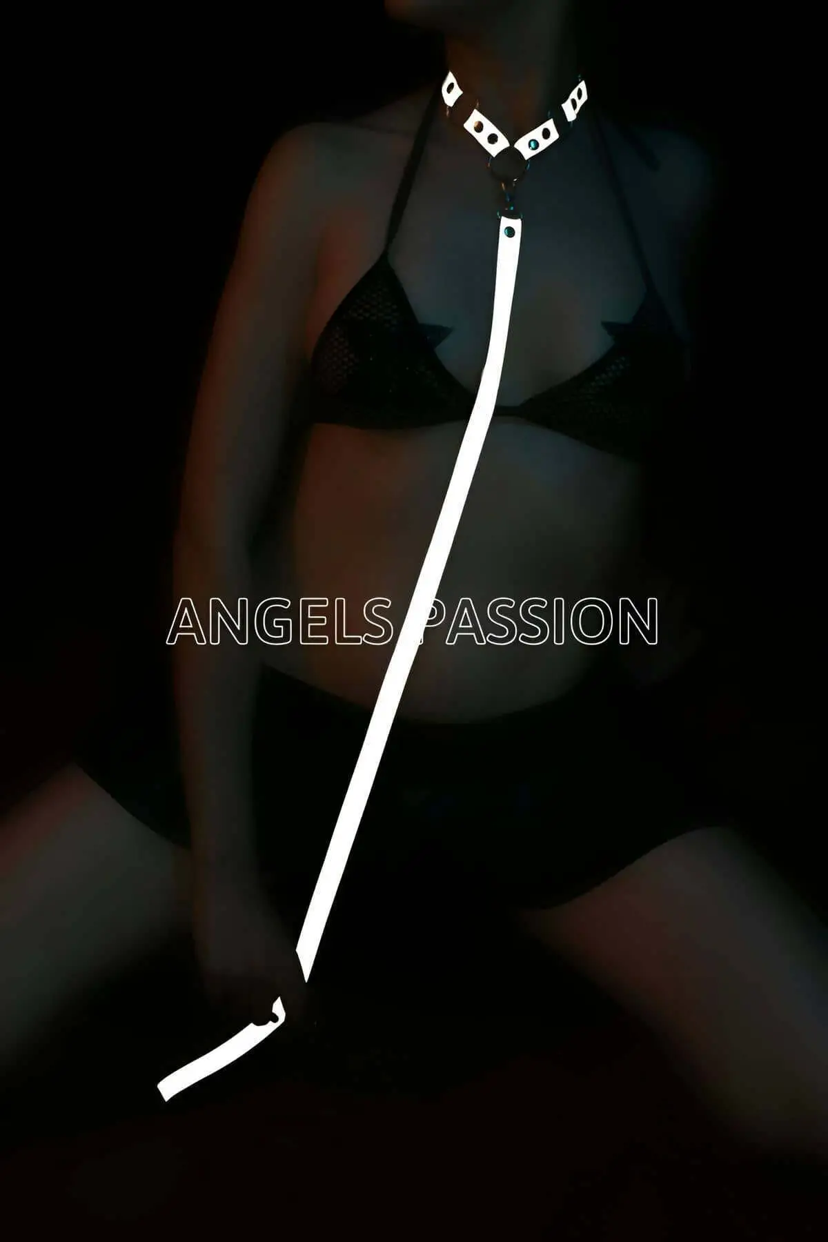 126802.webp Special Collar that Glows in the Dark - SH309 - Image 1