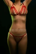 Elastic Harness Bra and Panty Set - SH555