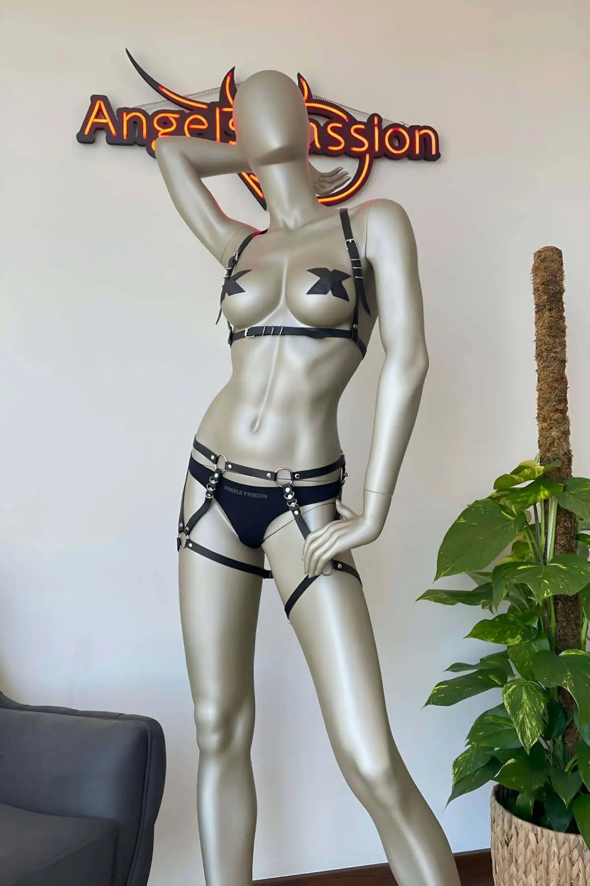 Short Leg Harness and Vest Harness