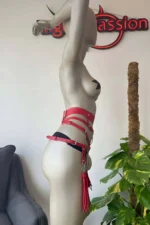 Elegant Red Harness with Tassel Detail - Image 2