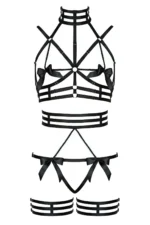 Custom Designed Sexy Harness Set - SH350 - Image 2